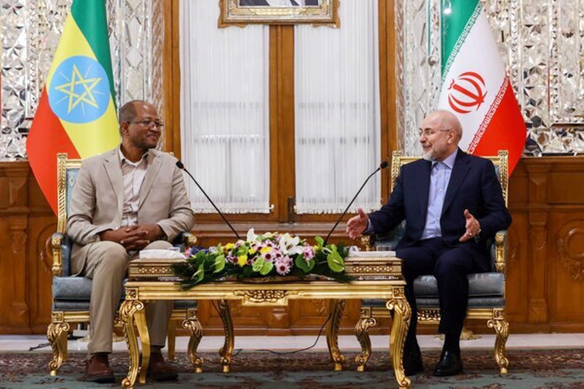 মুসলিম দেশগুলোতে অস্থিতিশীলতা ছড়াতে চায় পশ্চিমারা: ইরানি স্পিকার